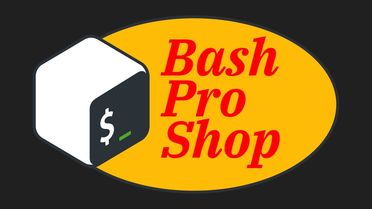 Become a bash scripting pro - video